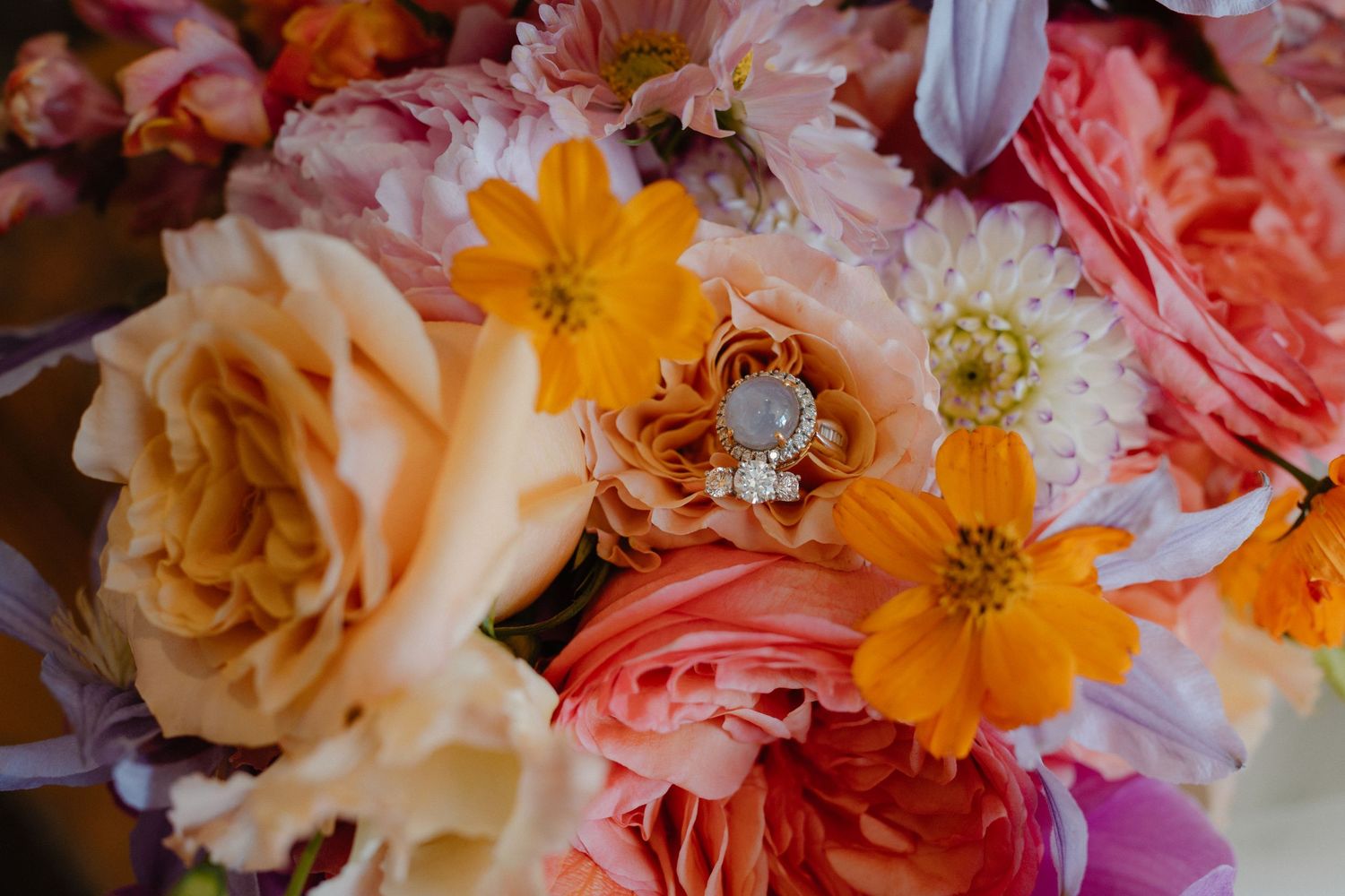 Wedding details flowers, rings, at Rosebery Steading, Temple, Gorebridge, Scotland.