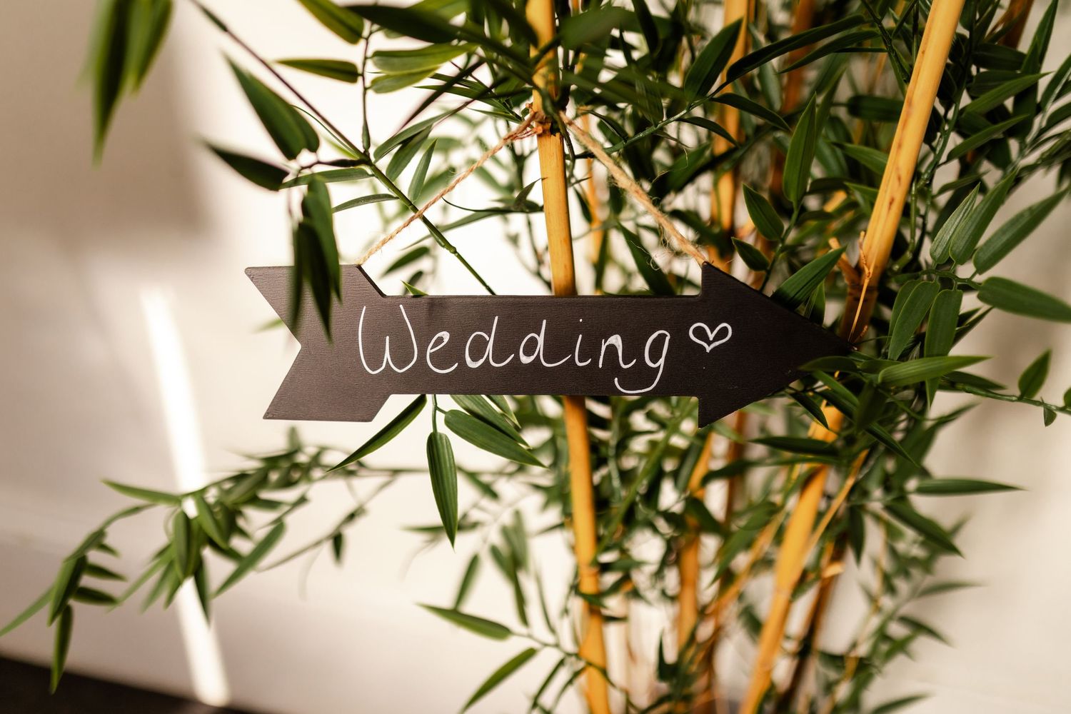 wedding photo wedding venue