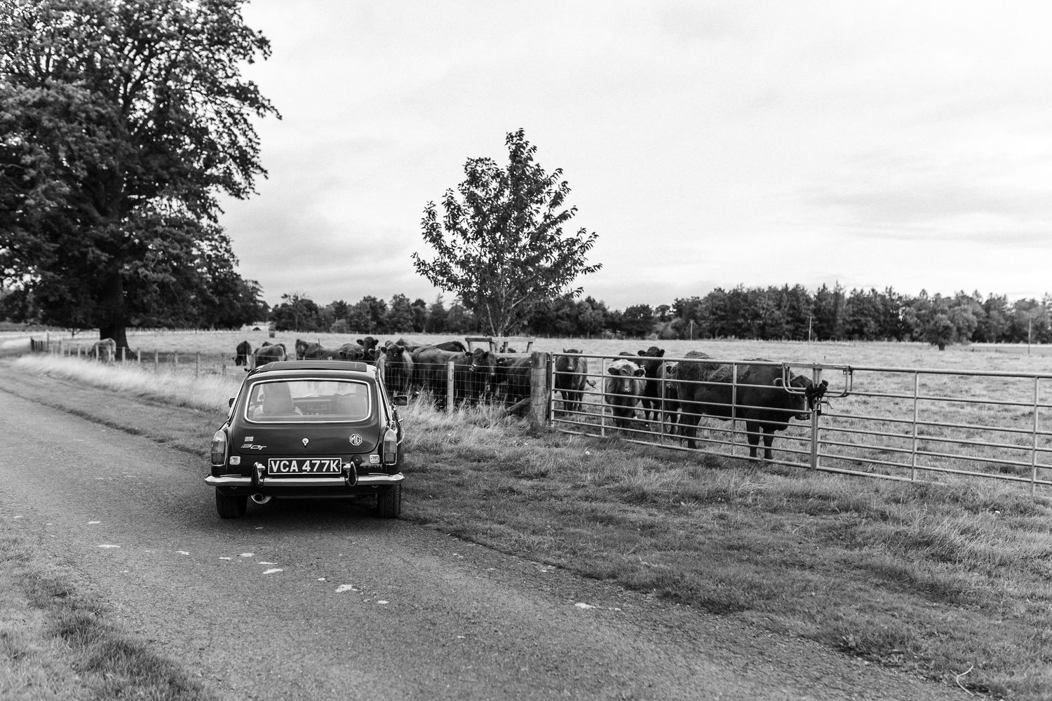 Classic car driving through rural countryside with trees in background.