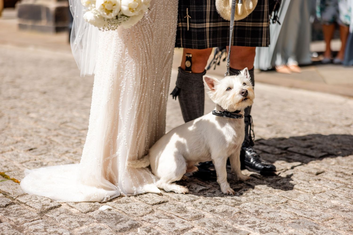 Small white dog sits attentively near wedding dress hem on stone ground.