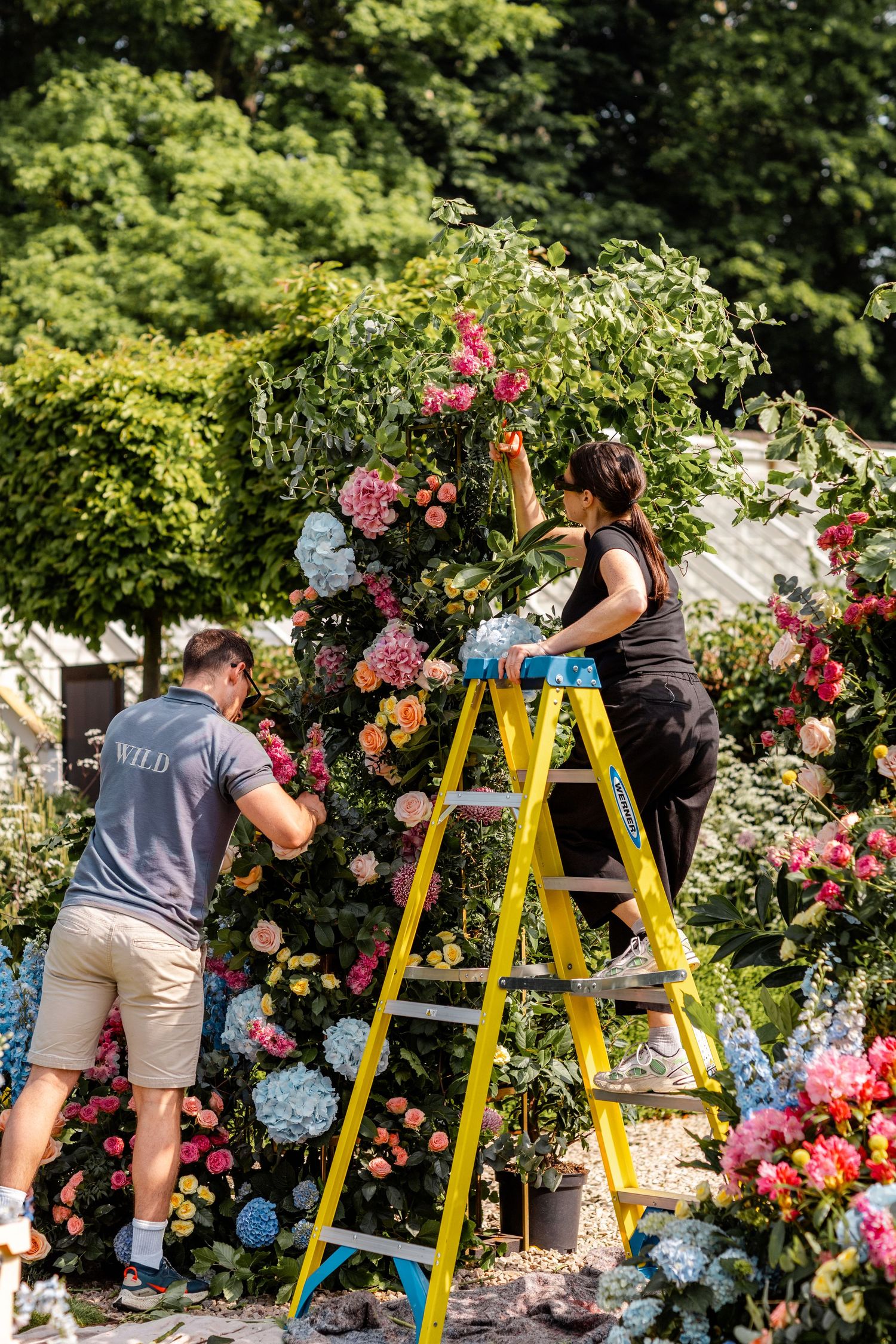 People on yellow ladders arranging colorful floral arrangements in a garden setting.