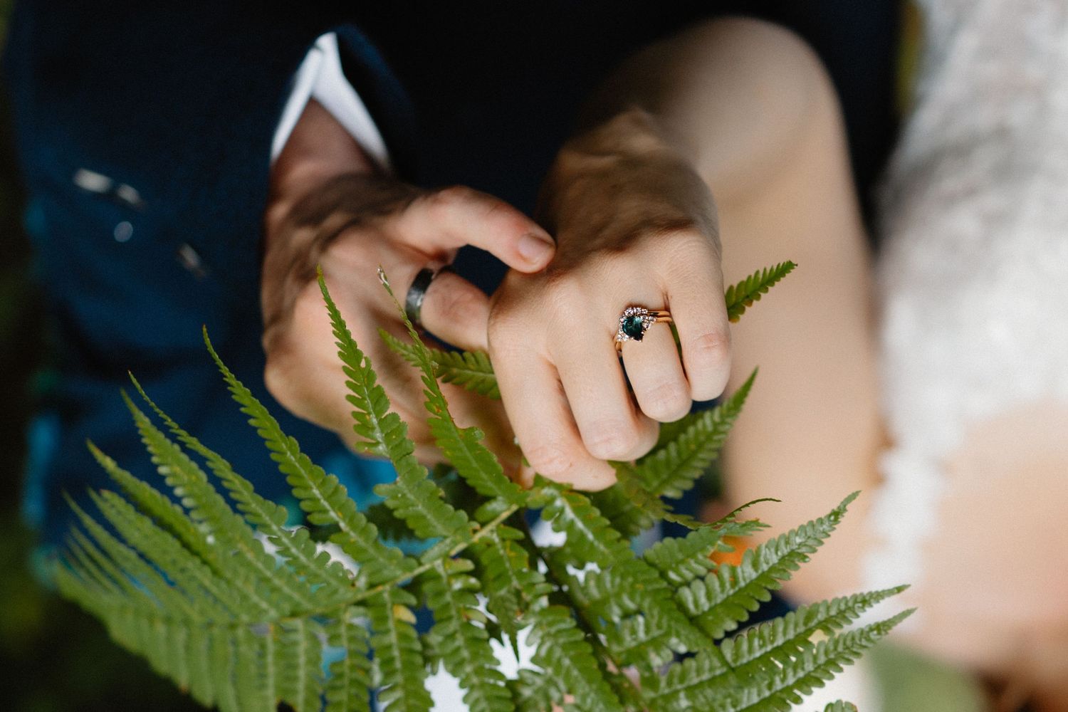 A delicate fern frond is held against a soft white background, showcasing its intricate green leaflets and natural patterns.