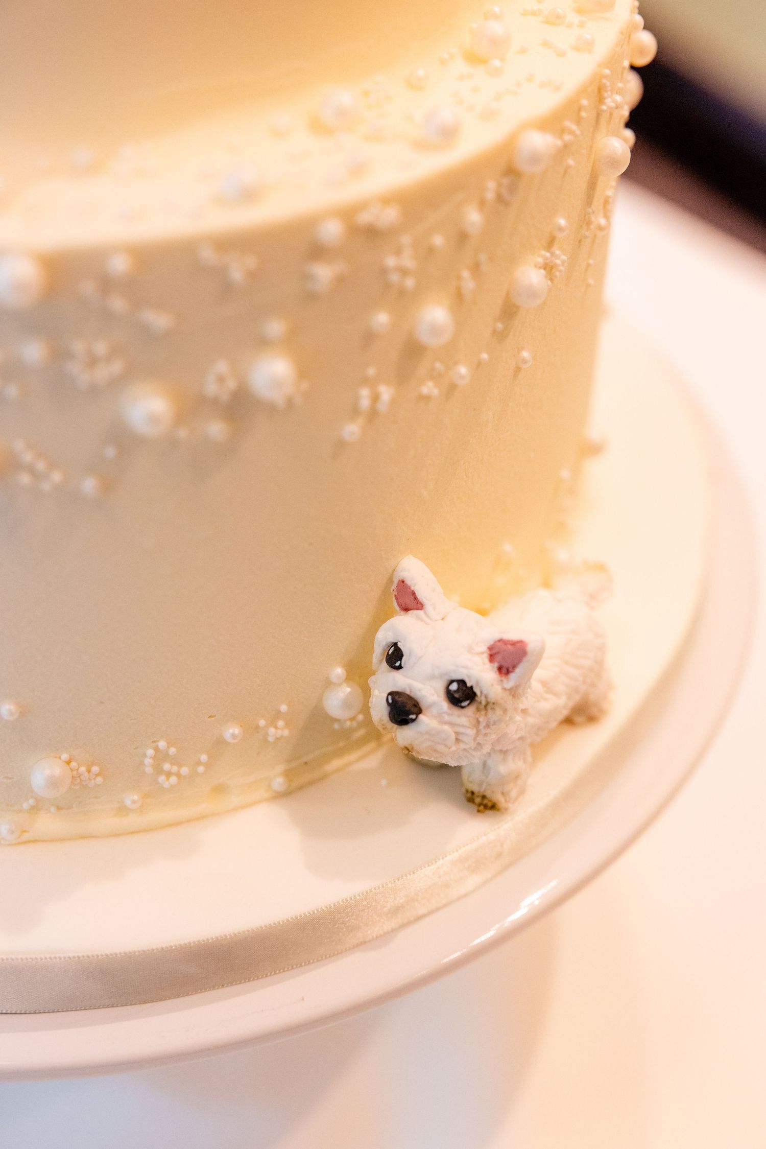 dog on the cake, wedding, Glass House Edinburgh City Scotland,