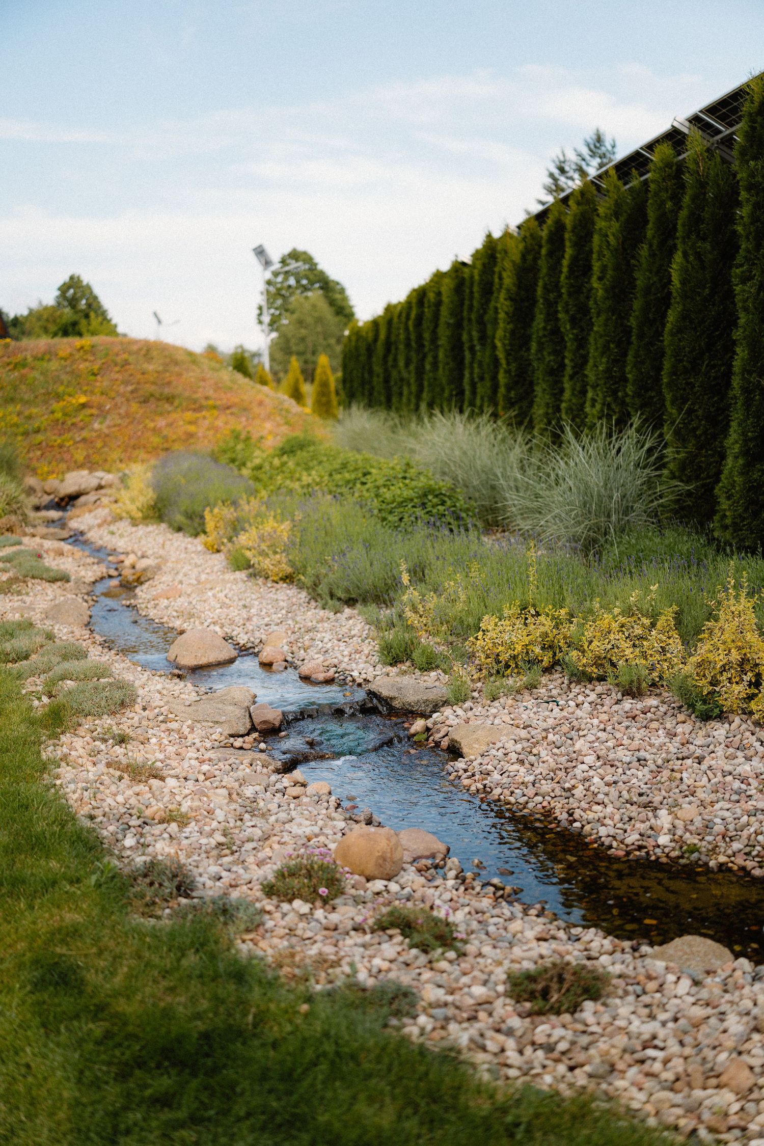 Rocky stream bed with flowing water bordered by evergreen trees and natural landscaping.
