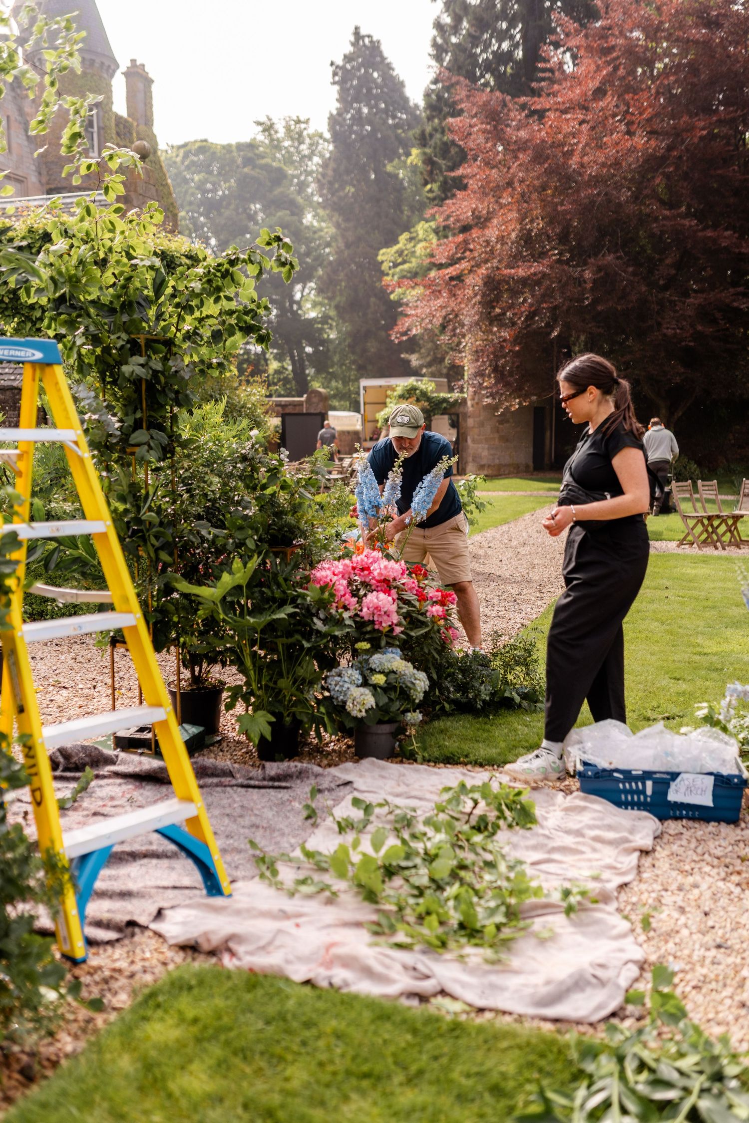 Someone working in a garden using a yellow ladder while tending to plants and landscaping.