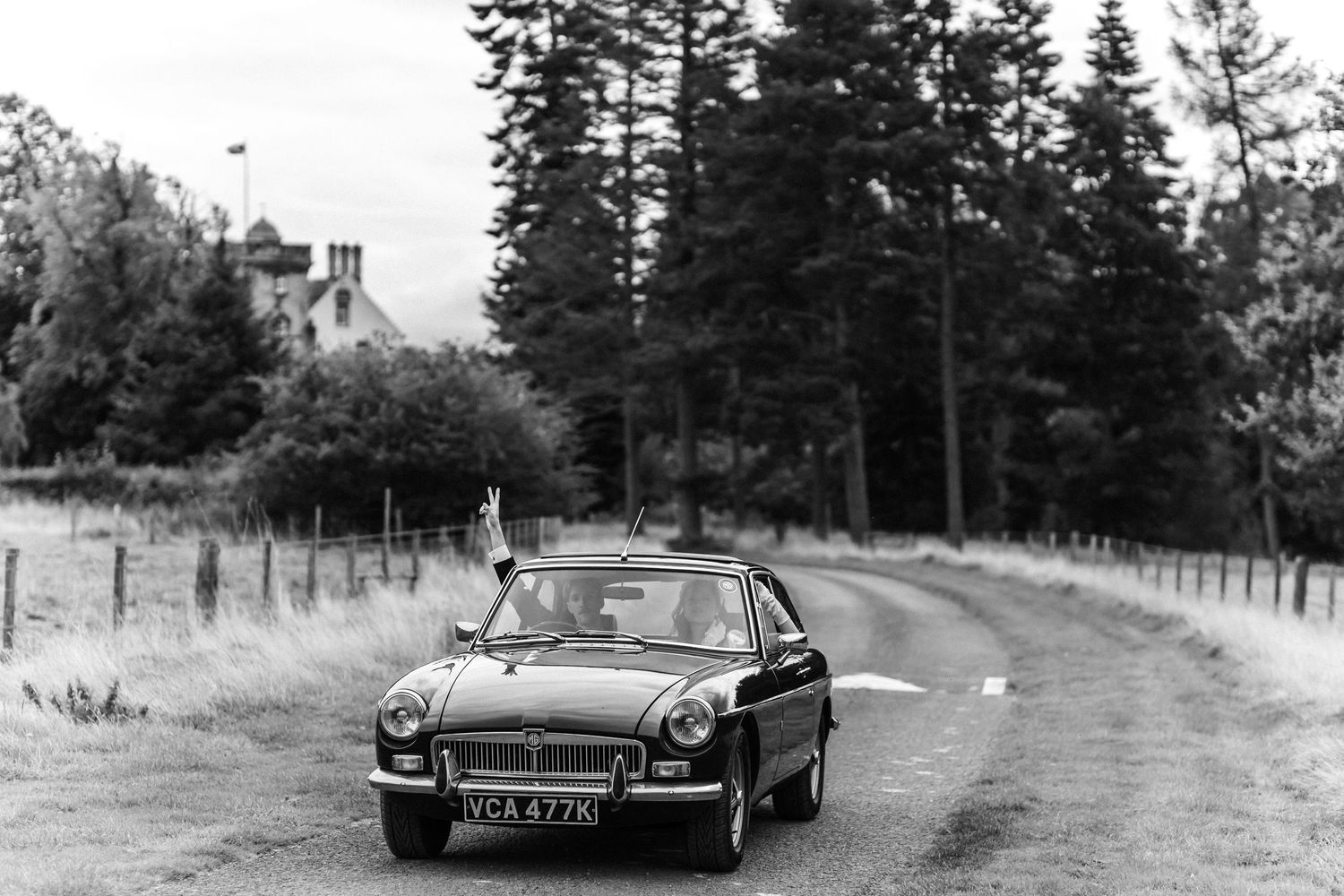 Vintage sports car on winding road surrounded by tall evergreen trees.