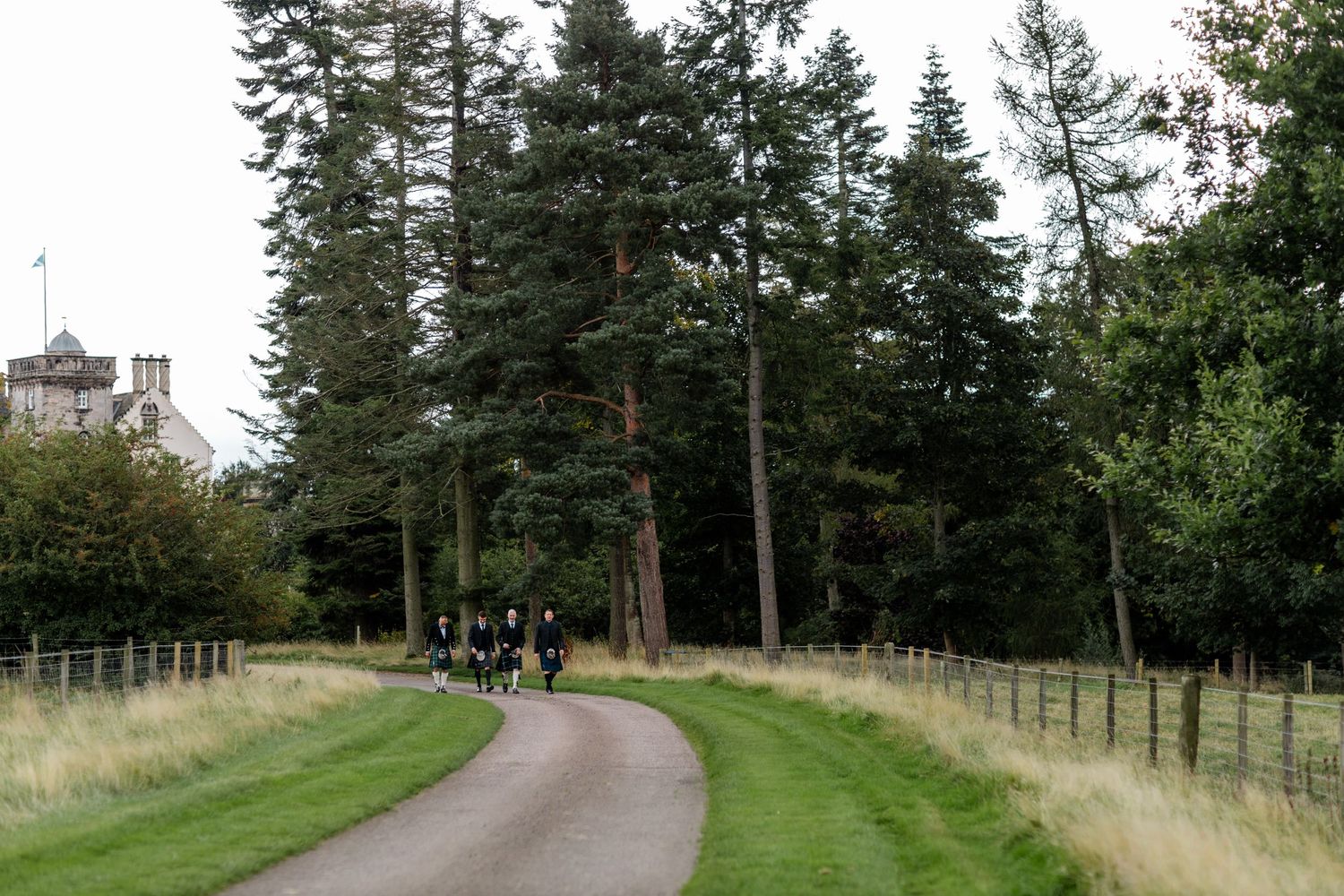 Tree-lined path through a scenic countryside estate with rolling green hills and natural landscaping.