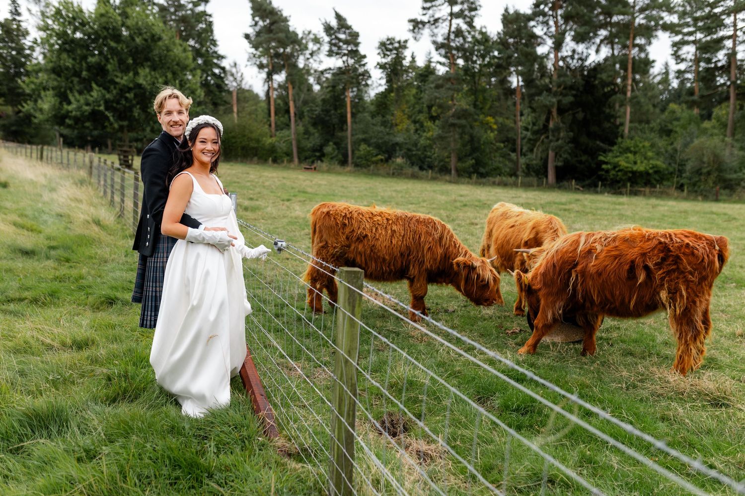 Bride and groom smiling beside a fence with Highland cattle grazing in a lush green Scottish field.