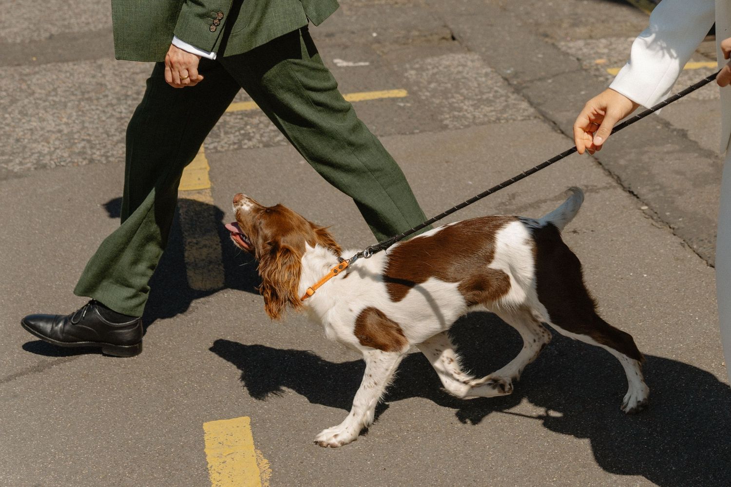 A couple walking their dog on a sunny street.