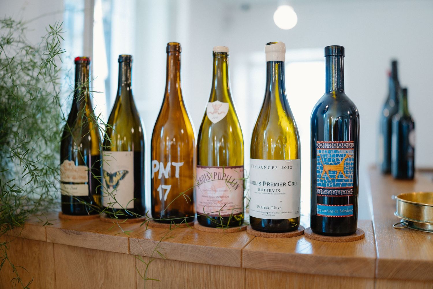 A row of wine bottles displayed on a shelf showing various labels and varieties.
