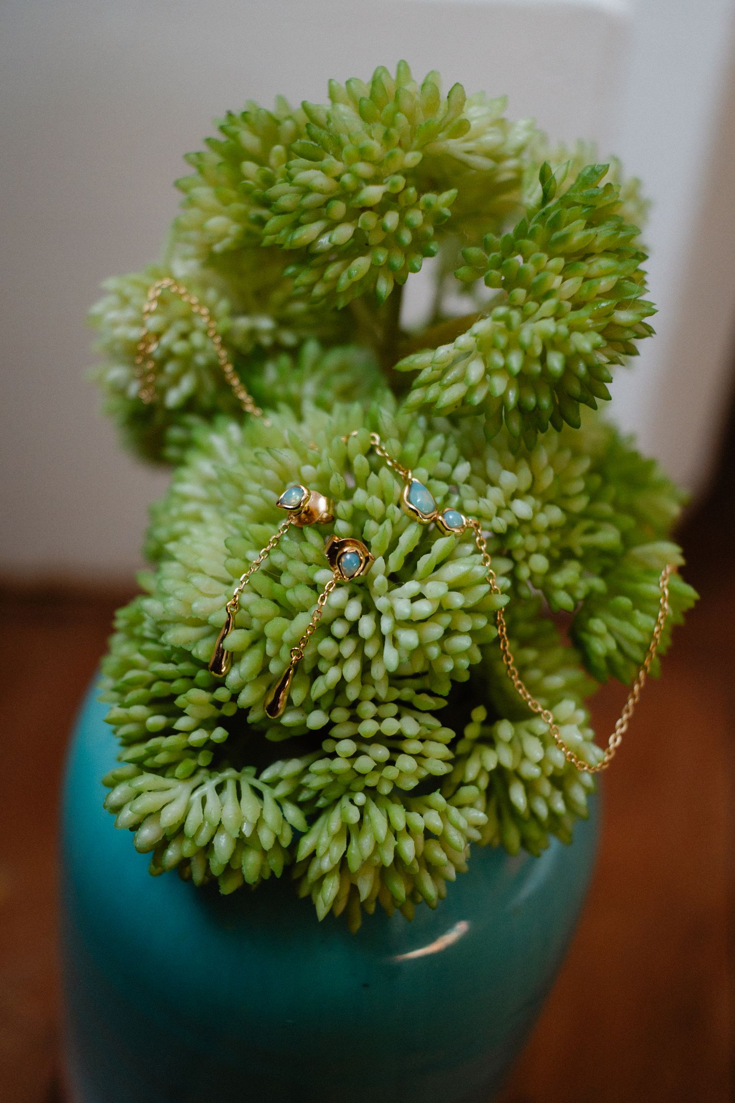 Close-up of green succulent plant with tiny decorative elements in turquoise pot.