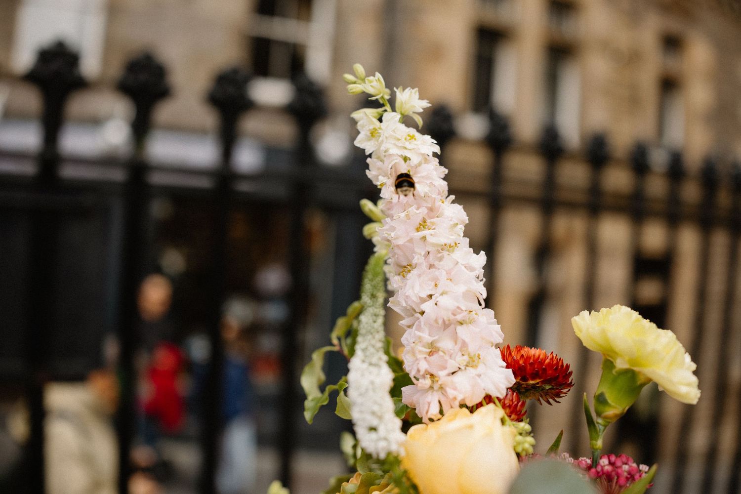 Close-up of white delphinium bloom with soft-focus urban background and mixed flowers.