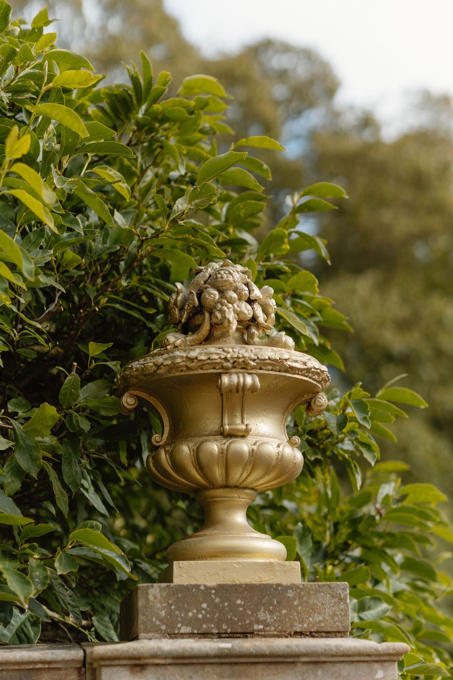 Ornate stone garden urn with decorative details surrounded by green foliage in a classical garden setting.