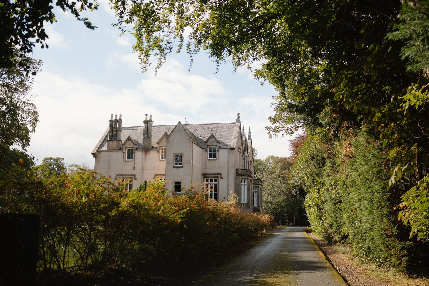 A scenic tree-lined driveway leads to a stone mansion on a hill surrounded by lush greenery.