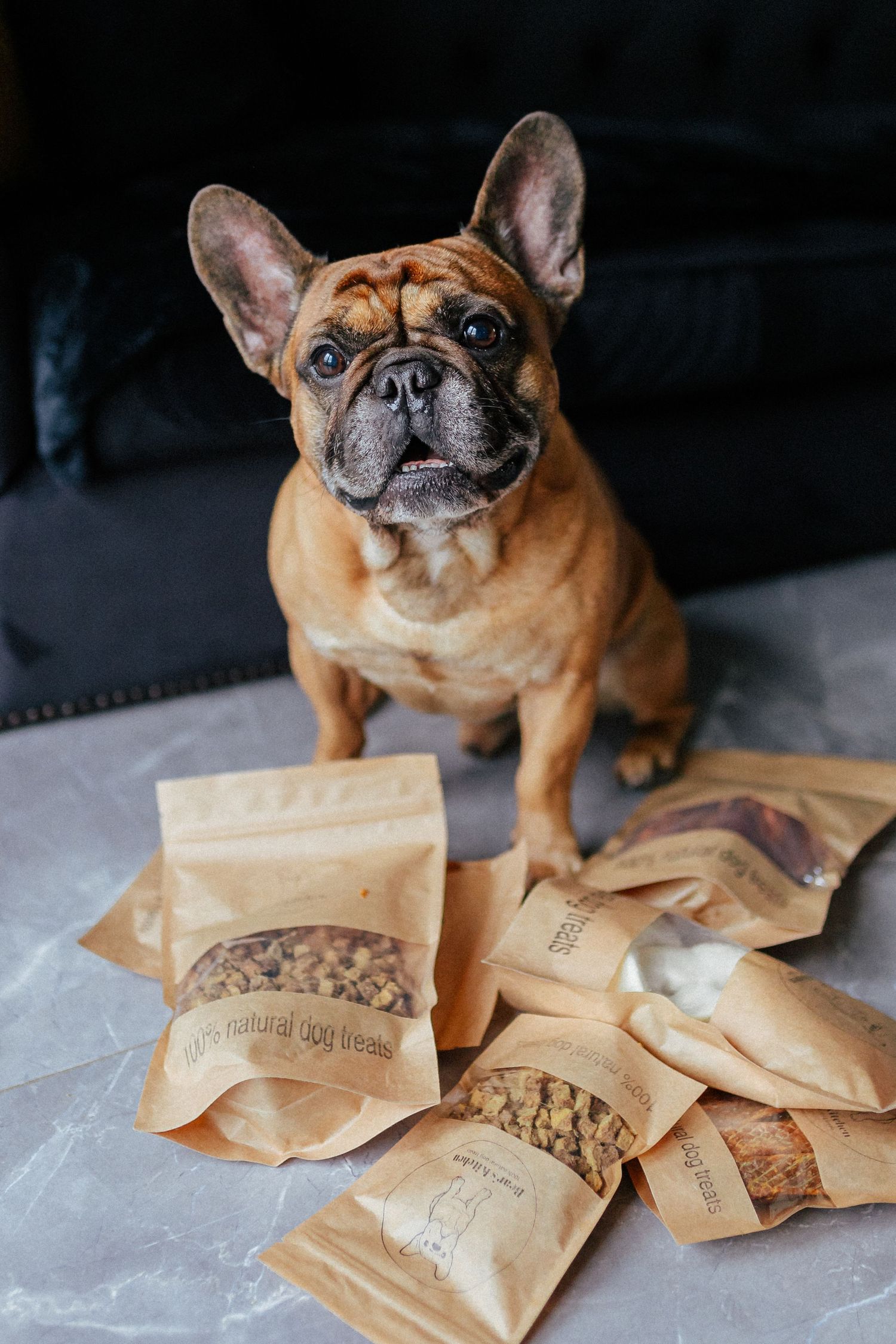 French Bulldog sitting next to brown paper treat bags on floor.