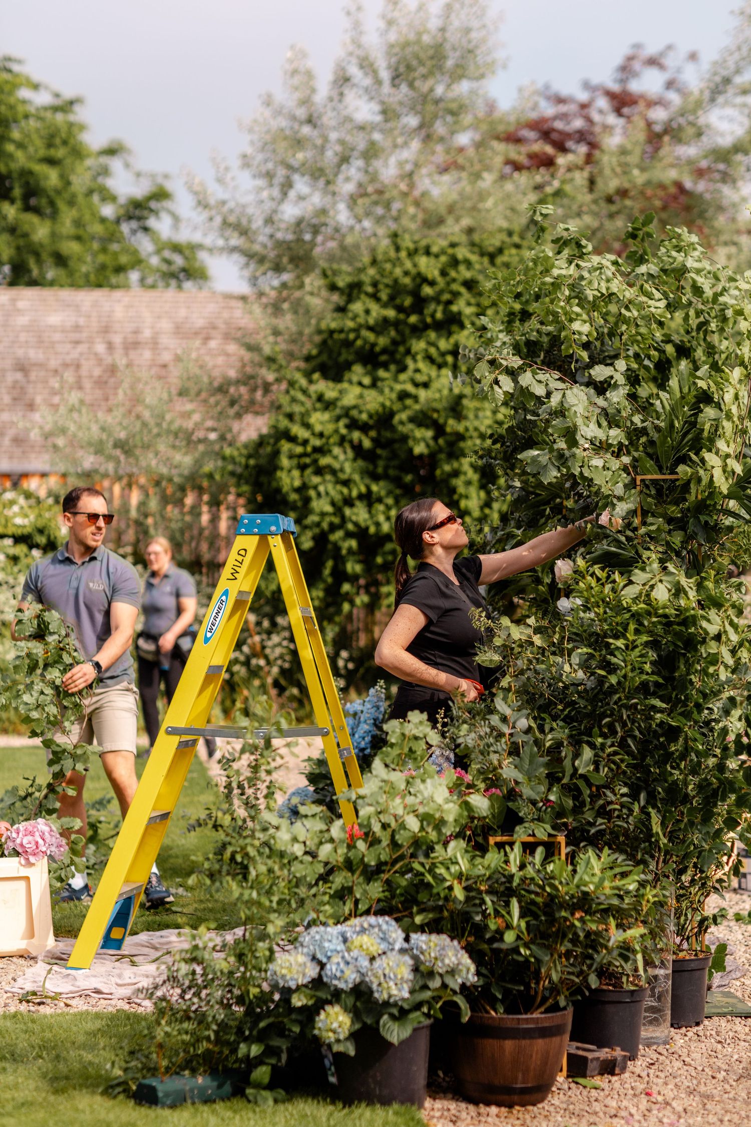 Gardeners working with plants and flowers near a yellow ladder in an outdoor garden setting.