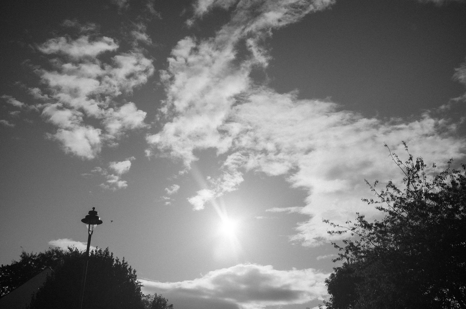 Dramatic black and white landscape with sun peeking through clouds and silhouetted trees.