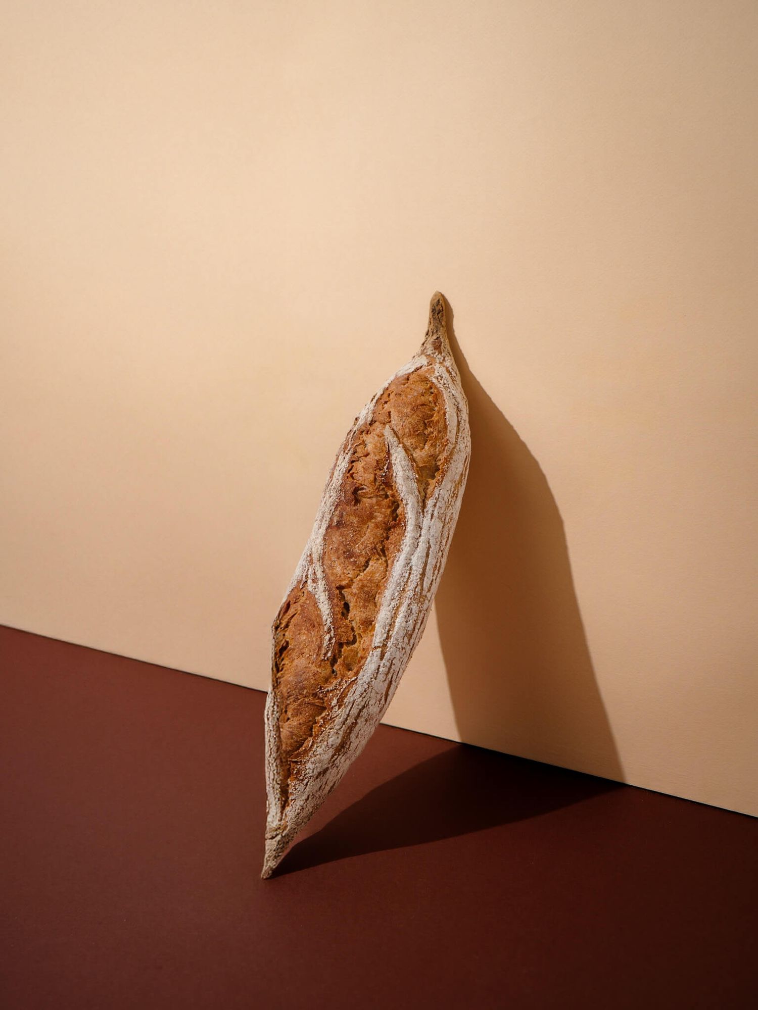 photographie photographe boulangerie patisserie toulouse