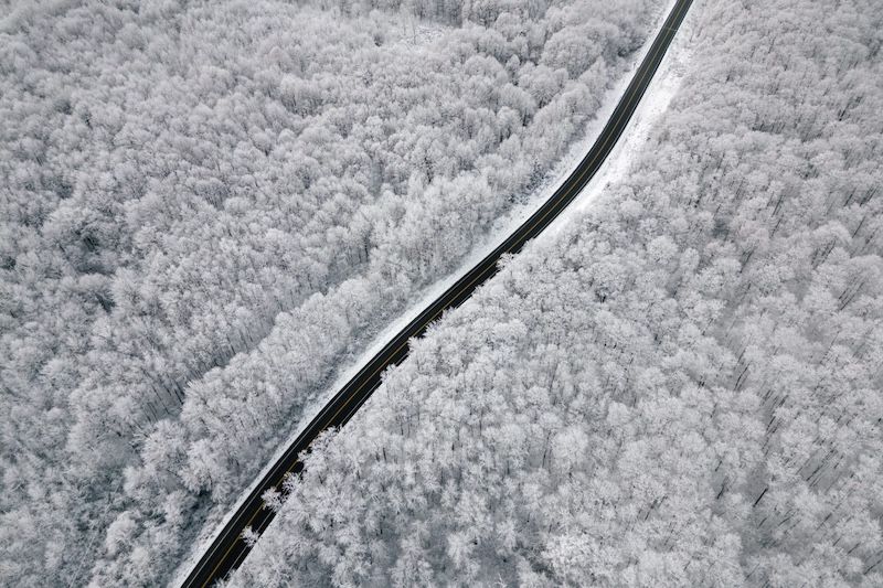 Aerial view of a winding road cutting through a snow-covered white winter forest from above.