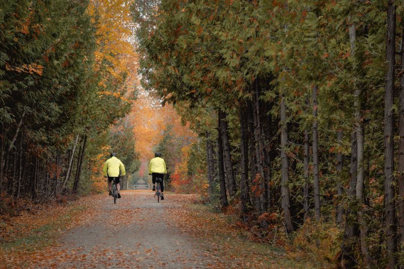 Two cyclists in yellow jackets ride along a scenic autumn forest trail surrounded by colorful fall foliage.