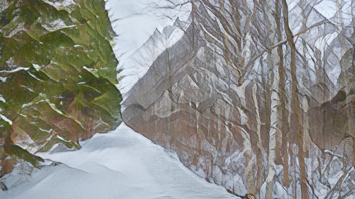 Painted Snow-covered forest path lined with bare trees and evergreens in a serene winter landscape.