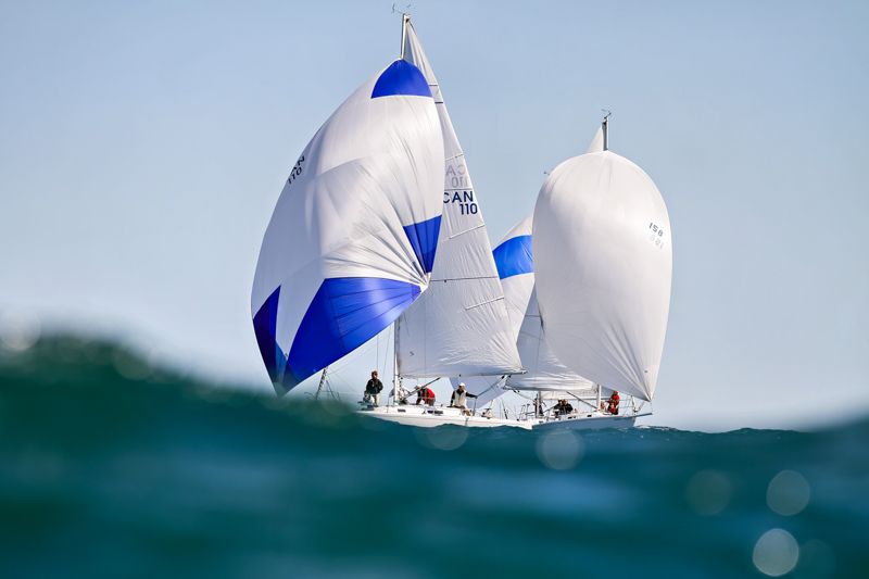 Blue and white sailboats racing with spinnakers deployed on choppy open ocean waters under a clear blue sky.