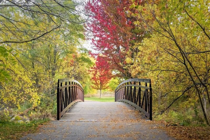A wooden footbridge surrounded by vibrant red, yellow, and green autumn foliage in a peaceful park setting.