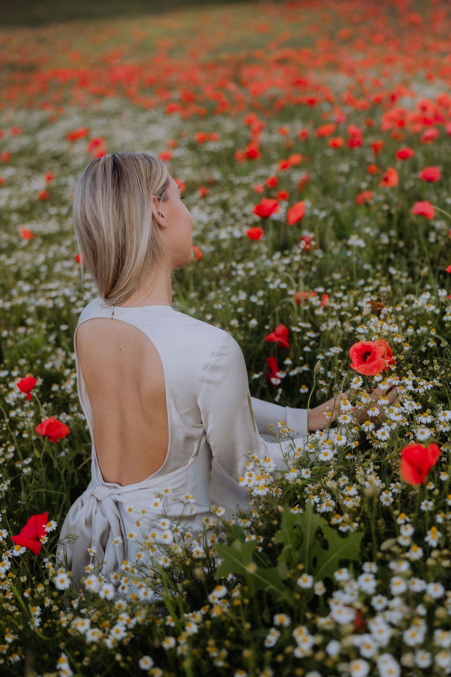 Blonde woman in white backless dress sitting in a vibrant field of red poppies and white daisies, holding a flower.