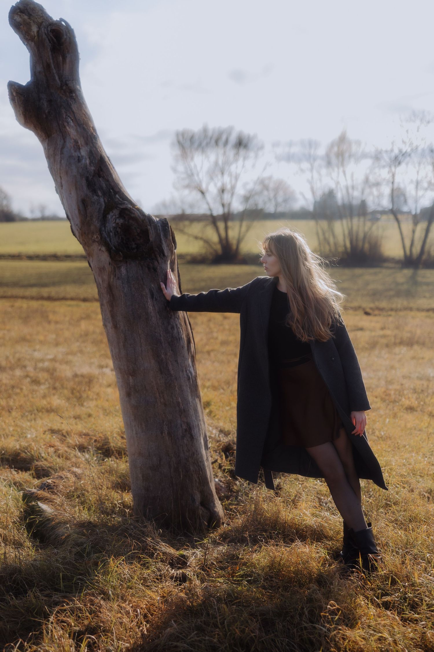A figure in a black coat leans against a weathered tree trunk in a golden autumn field at dusk.