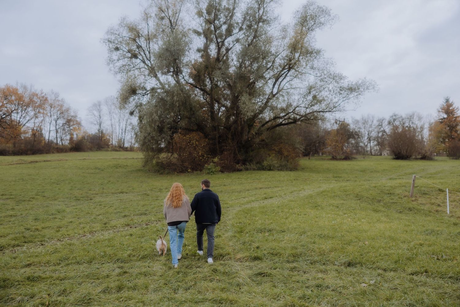 People and dogs walking together across a grassy hillside on an overcast autumn day.