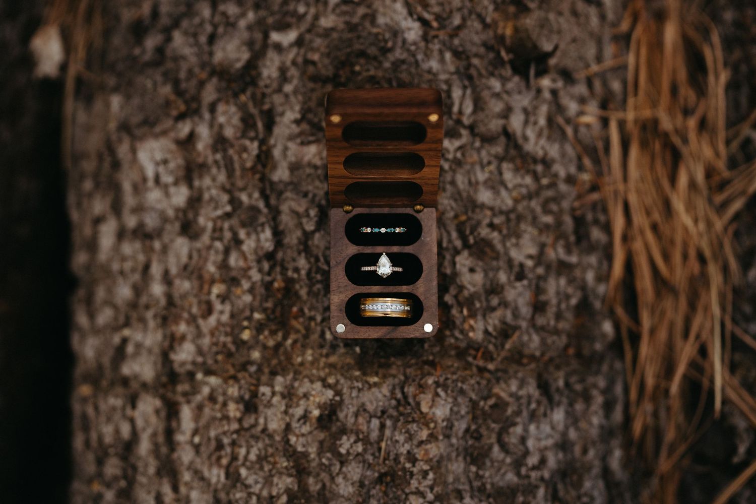 A rustic wooden box with dark brown stain mounted on a textured bark tree trunk in a natural outdoor setting.