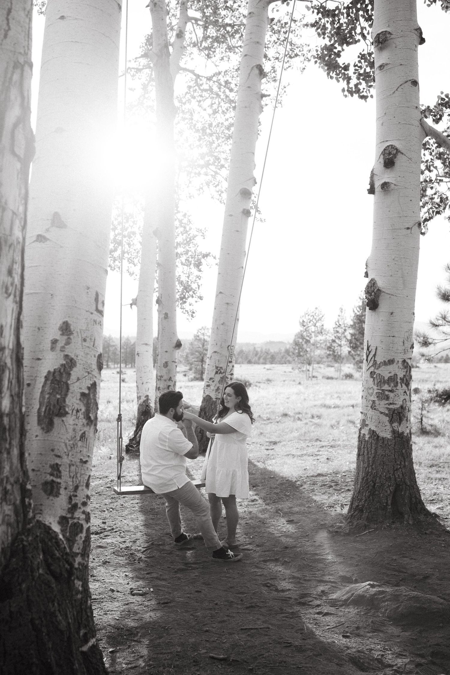 Black and white photo of a couple on a swing among birch trees with sunlight streaming through.