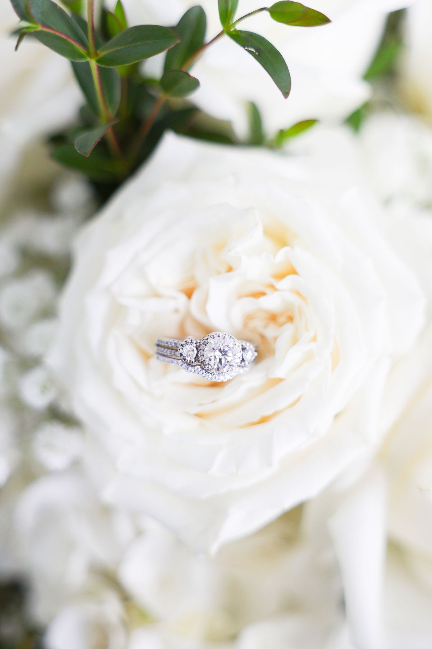 Diamond engagement ring and wedding band nestled in a white rose bloom surrounded by white floral bouquet.