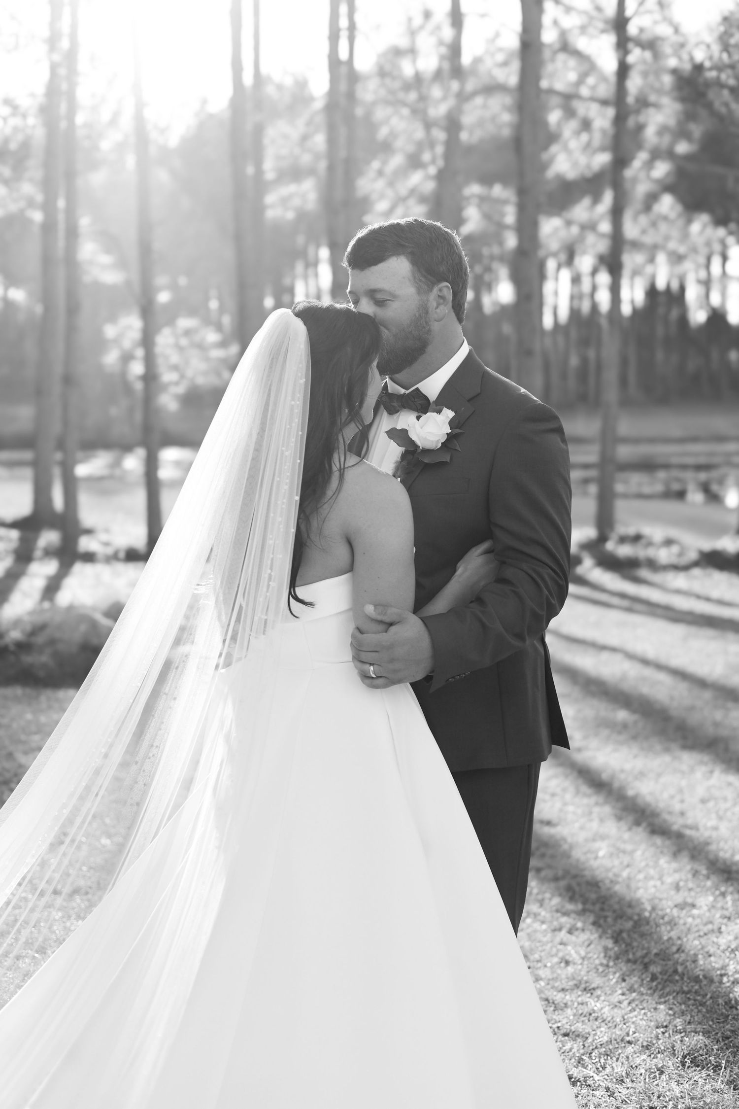 Black and white wedding portraits showing romantic moments between newlyweds in a sunlit forest setting.