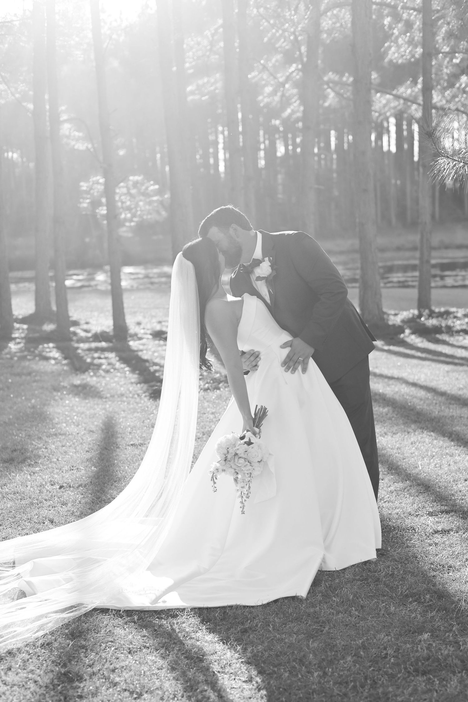 Black and white photo of bride and groom sharing a romantic dip kiss outdoors among tall trees with sunlight.