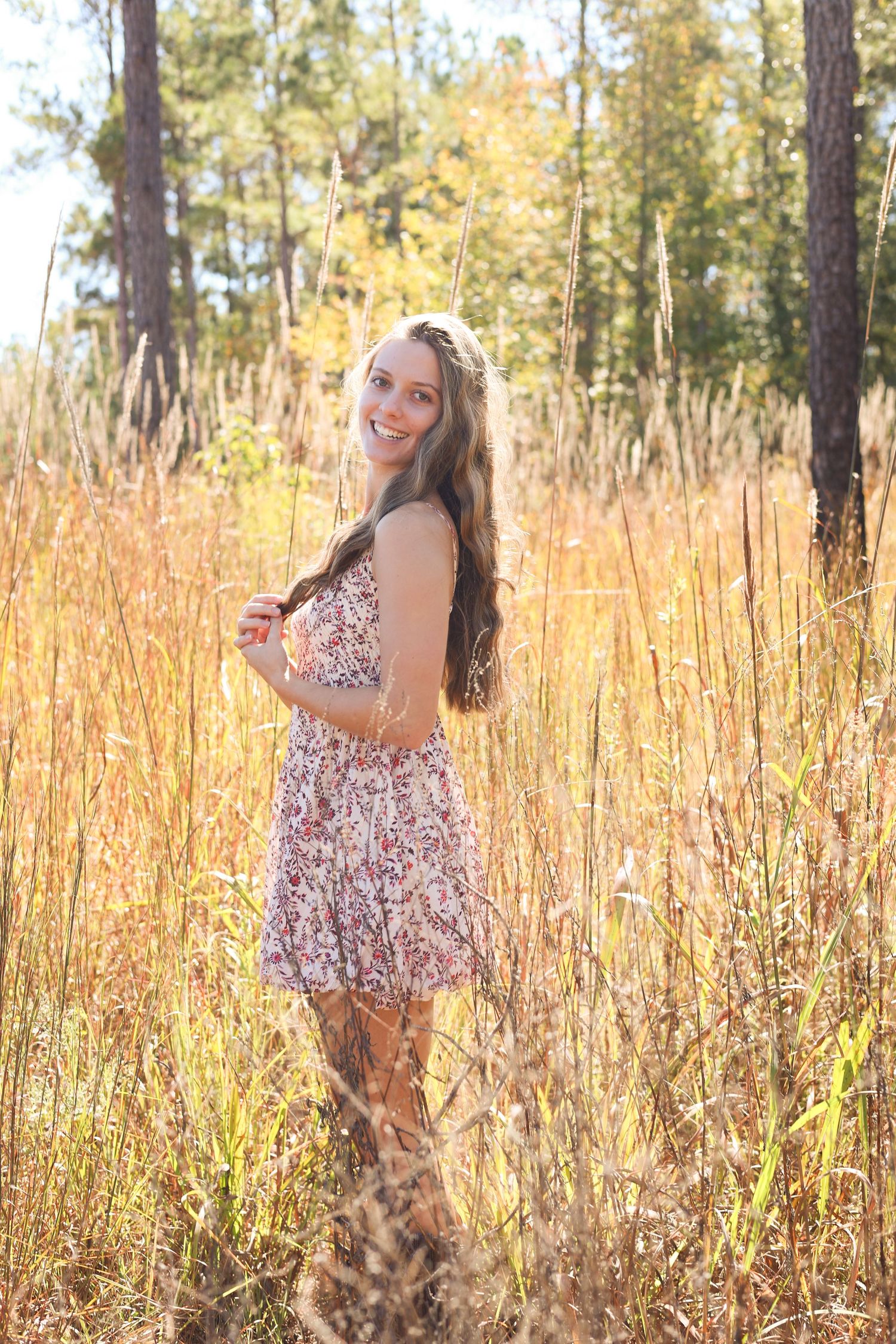 Sunlit portrait session in a field of tall grass with pine trees creating a warm autumn atmosphere.