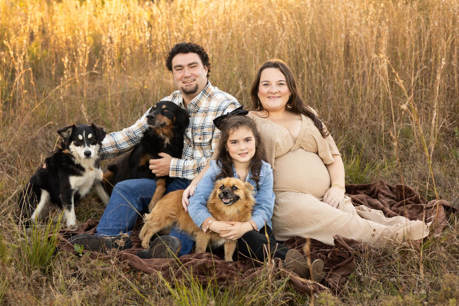 Pregnant woman and man sit outdoors in golden field with young girl and two dogs for a warm family maternity portrait.