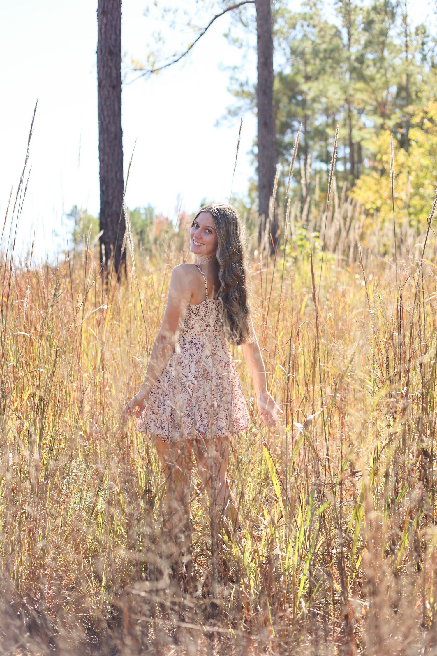 Golden sunlight filters through tall grass and pine trees in an autumn outdoor portrait setting.