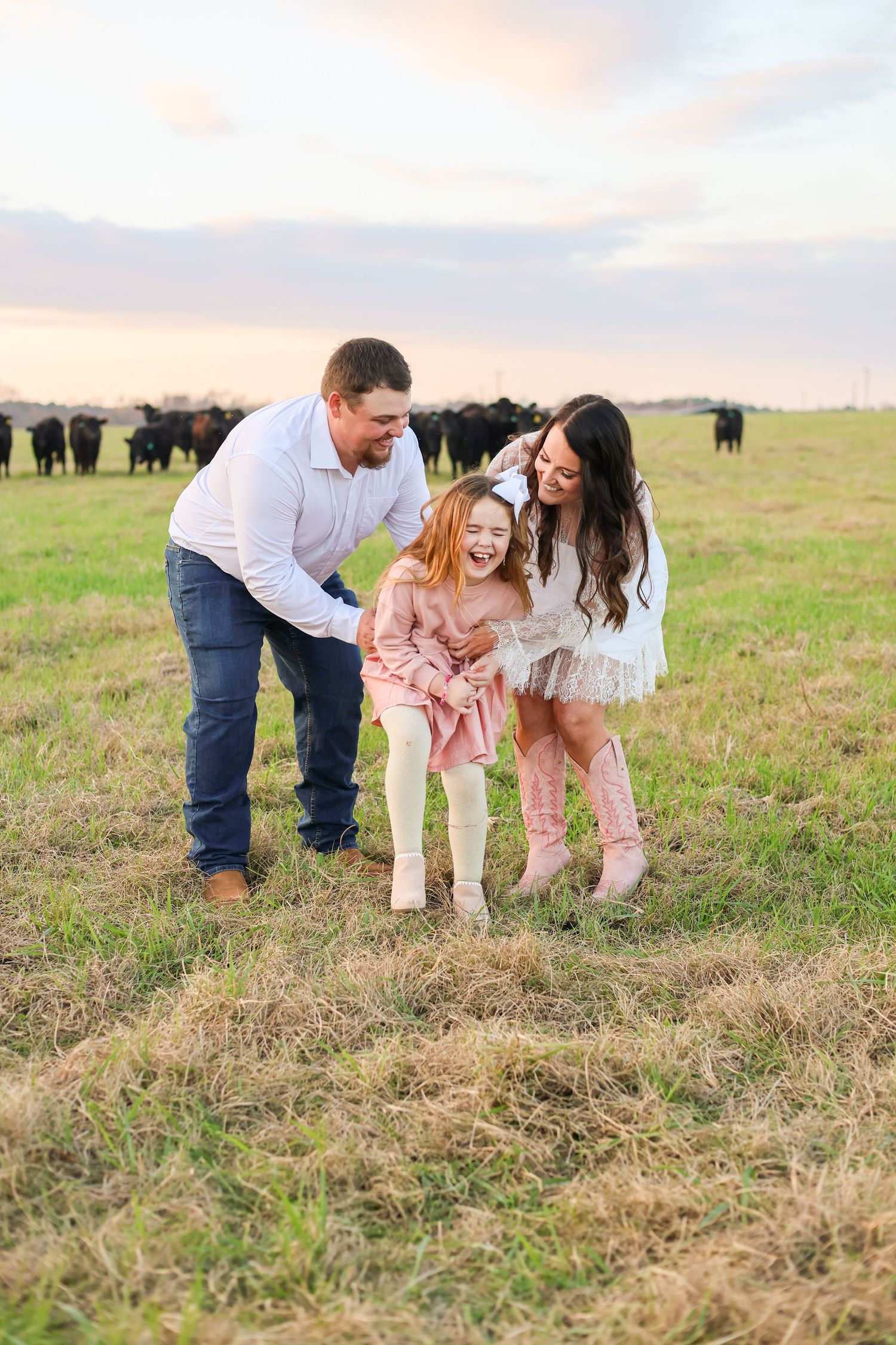 A family shares laughter together in a field with cattle grazing in the background during sunset.