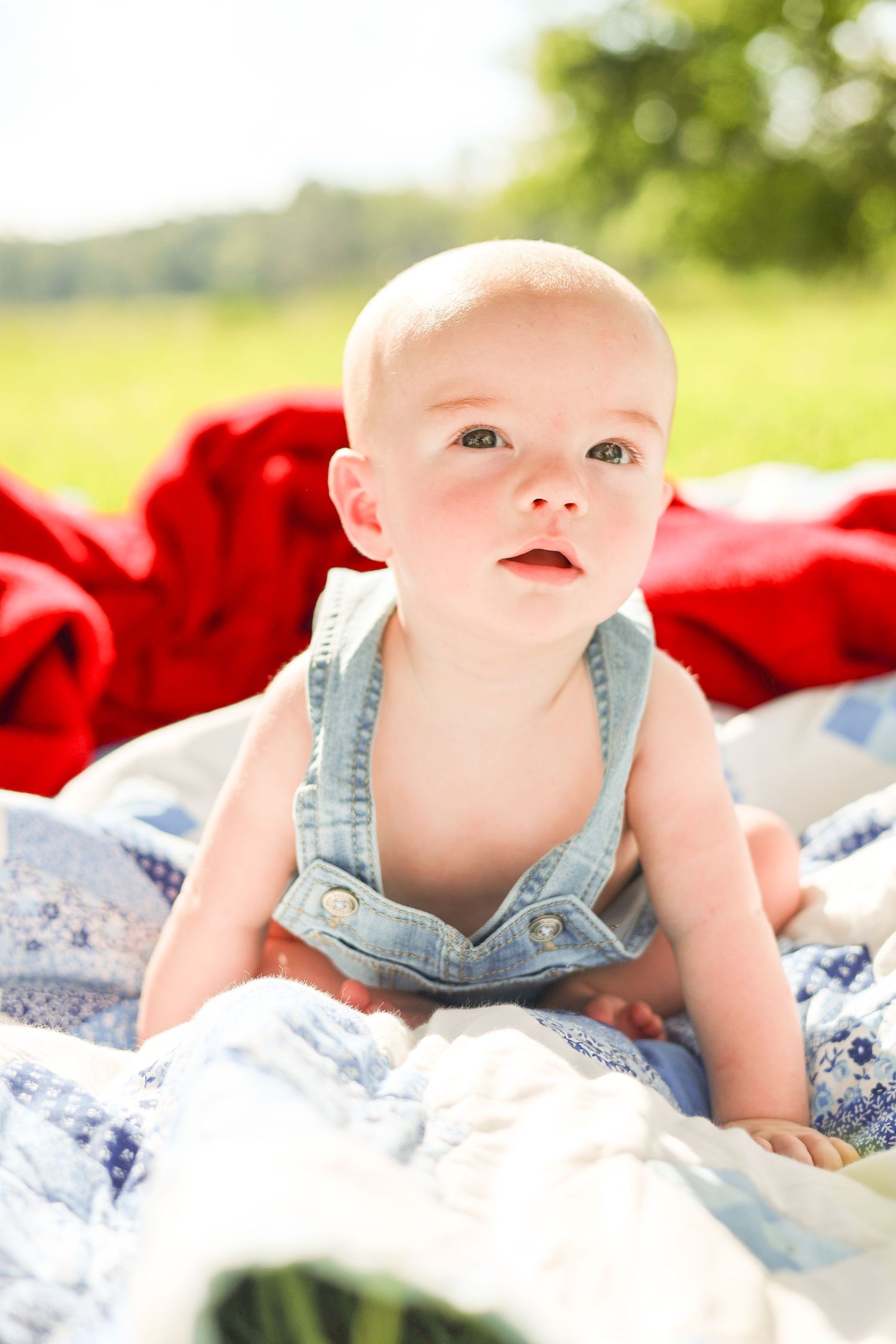 Adorable baby in denim overalls lying on a blue quilt outdoors with a red blanket and green field background.