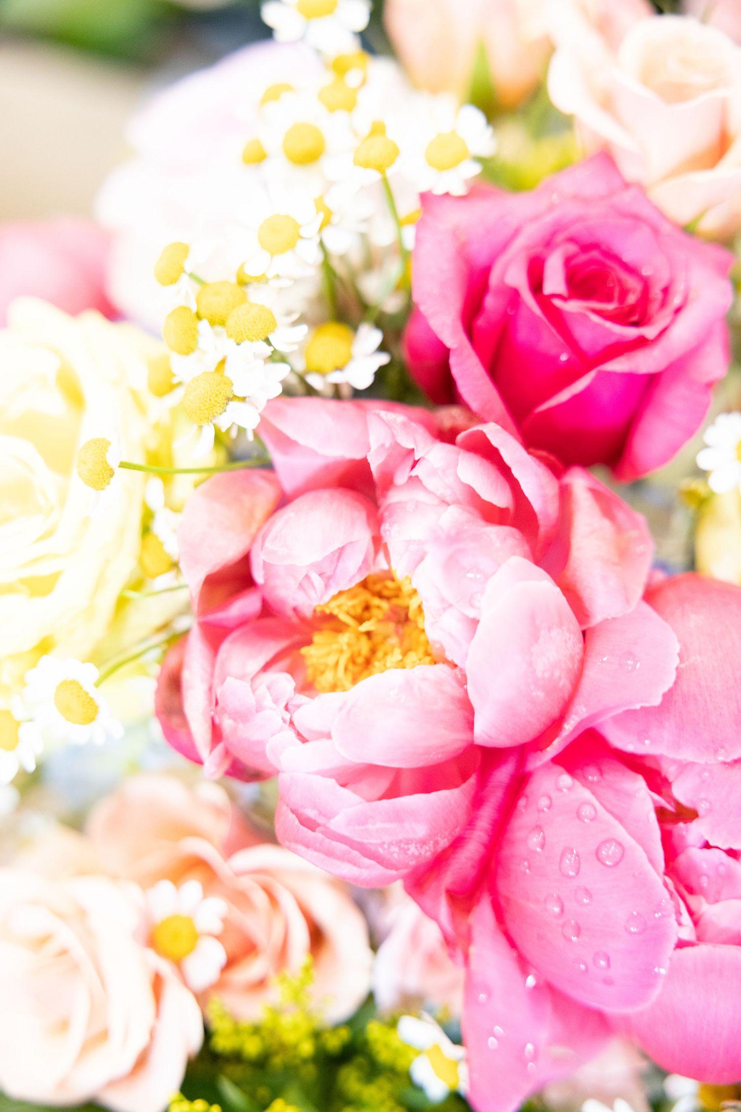 Close-up of a beautiful wedding bouquet featuring pink peonies, roses, and white daisies with water droplets.