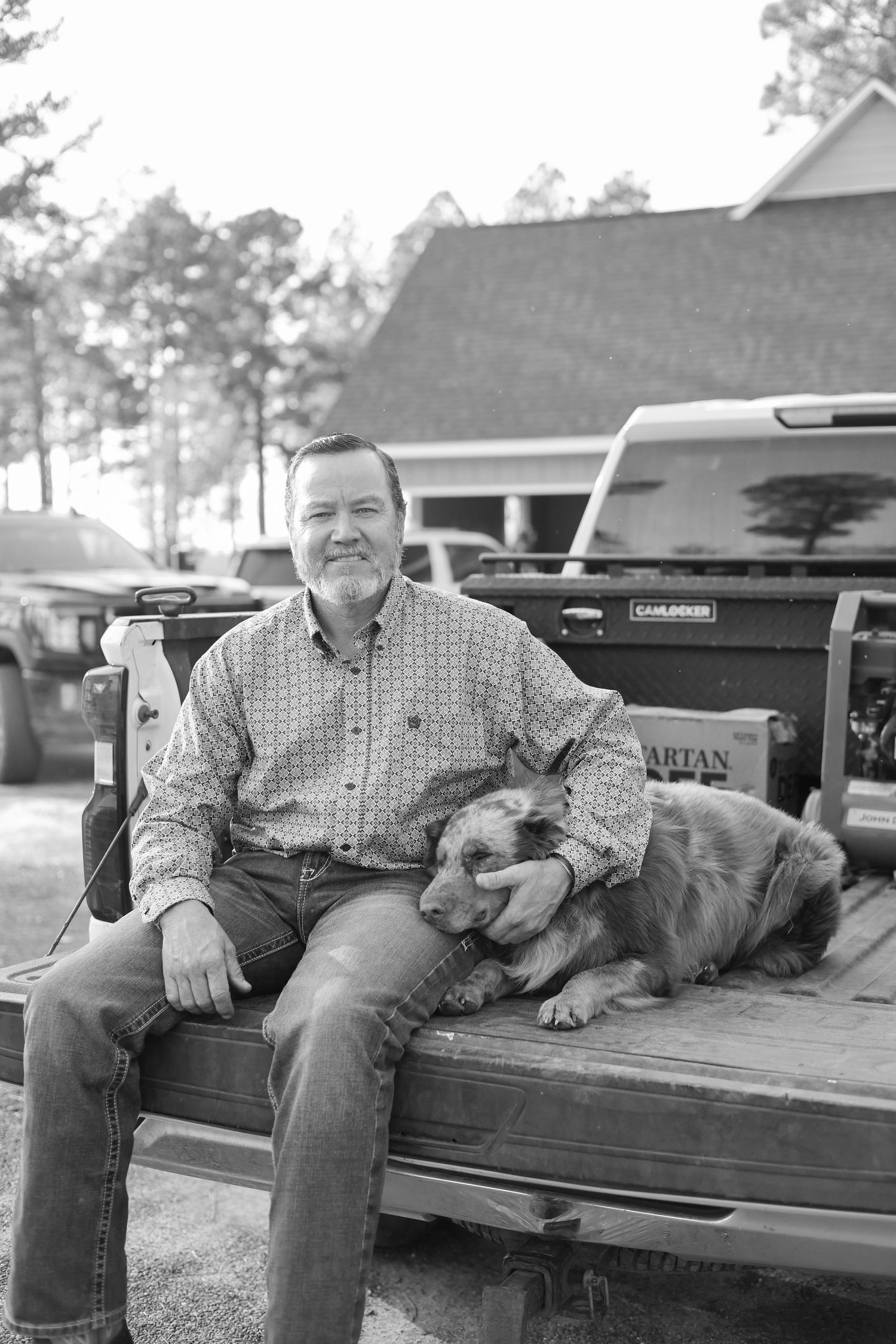 A dog rests on the bed of a pickup truck on a sunny afternoon.