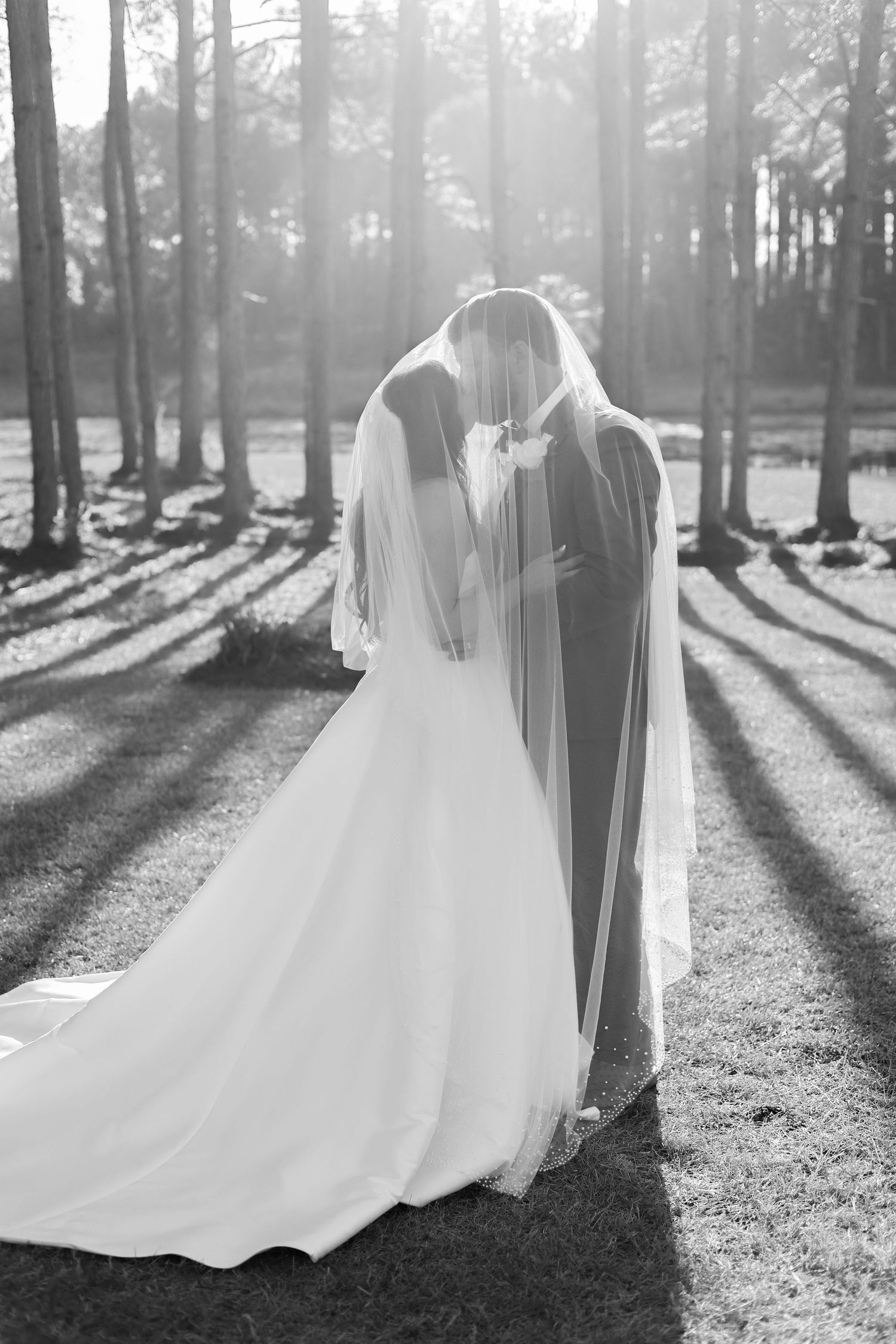 Black and white photo of newlyweds creating silhouettes among tall pine trees.
