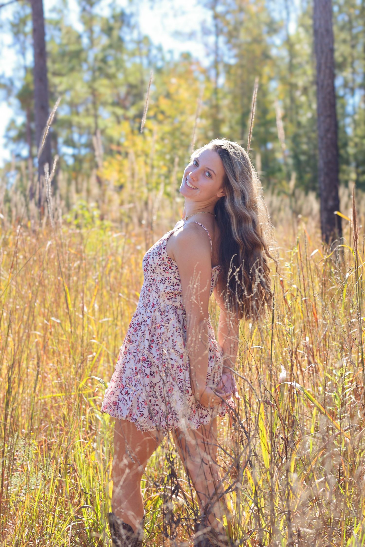Artistic outdoor portraits captured in warm golden light among tall grass and pine trees.