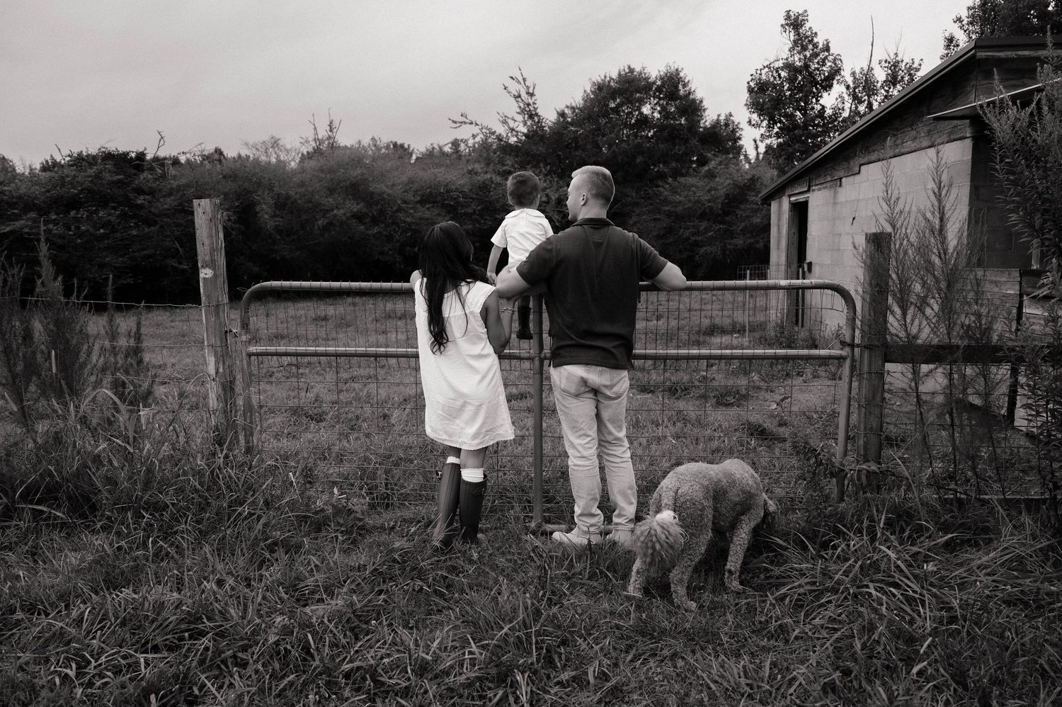 Black and white photo of family with child and lamb looking through farm gate in rural field.