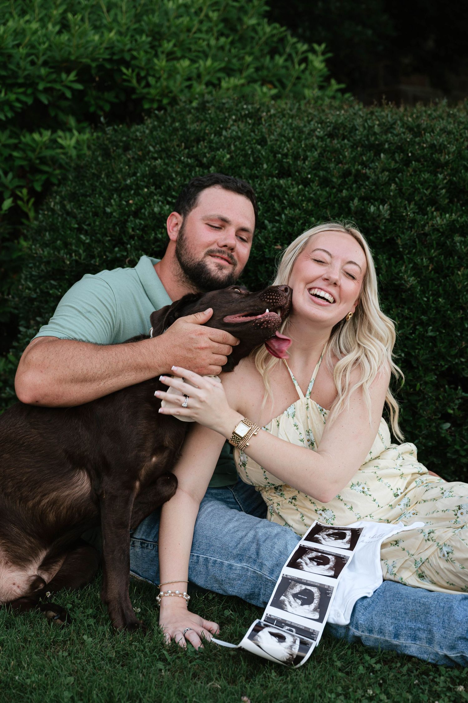 Happy couple sitting on grass with chocolate Labrador and ultrasound photos, announcing pregnancy outdoors.
