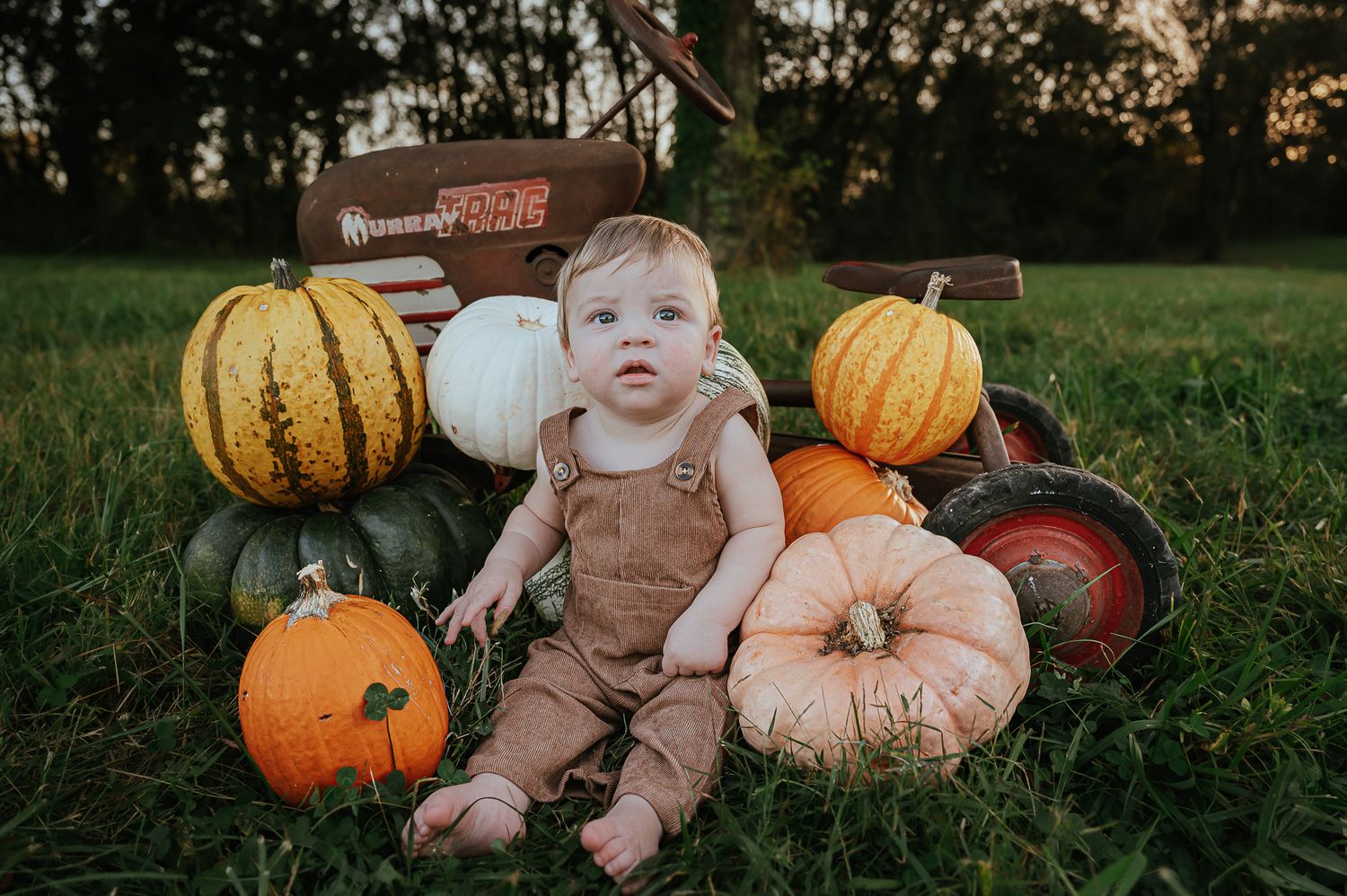 Baby sitting among autumn pumpkins in outdoor setting.
