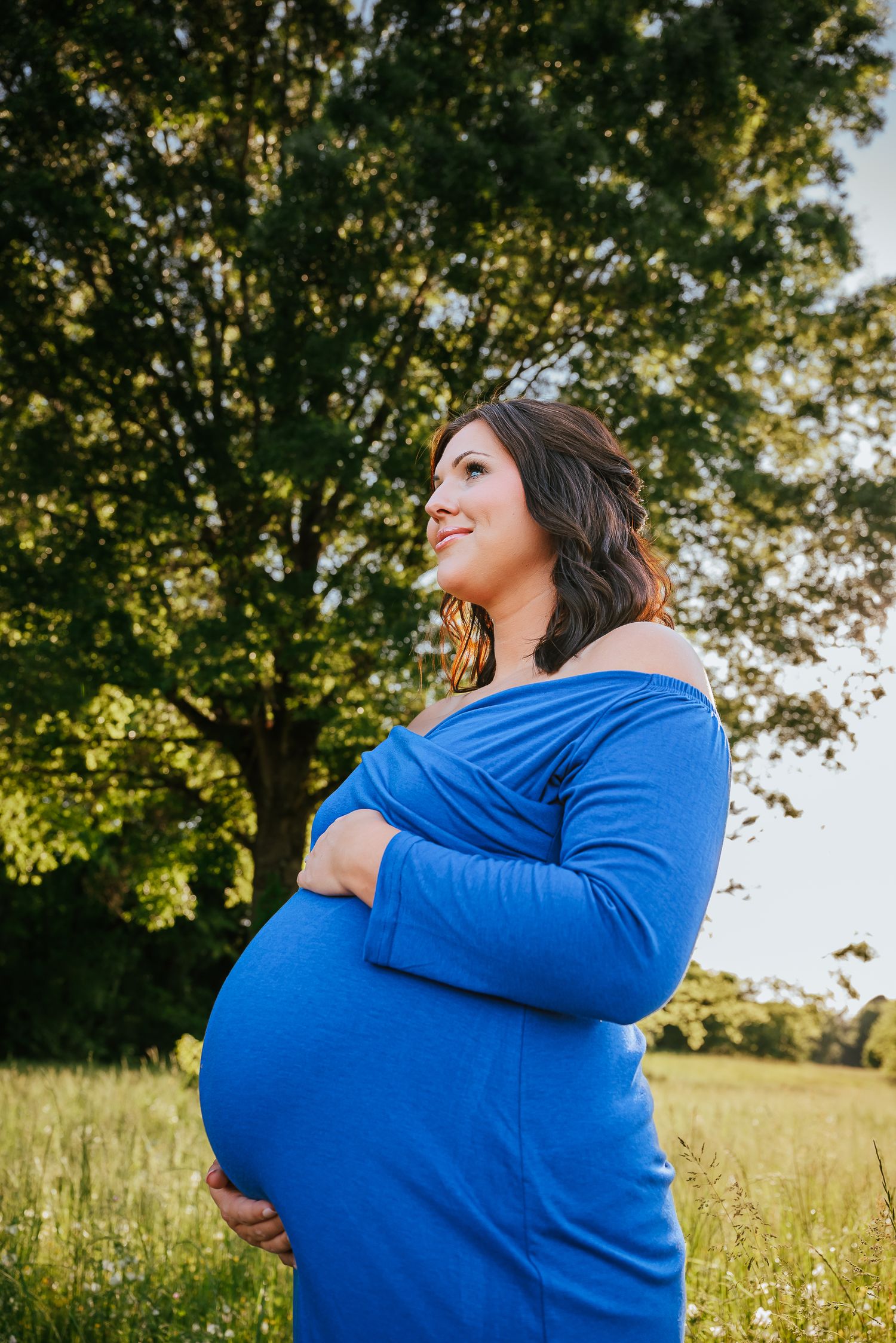 Maternity portraits in a sunlit field showing woman in bright blue sweater.