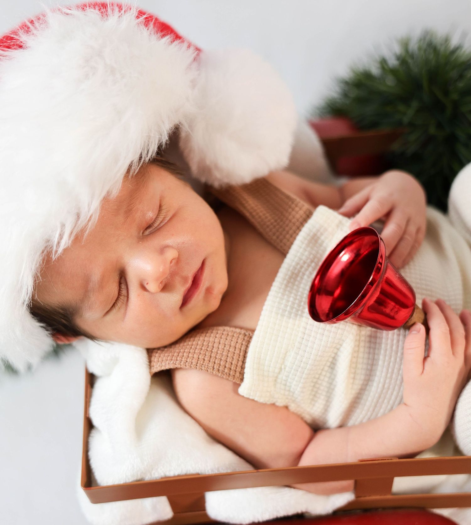 newborn