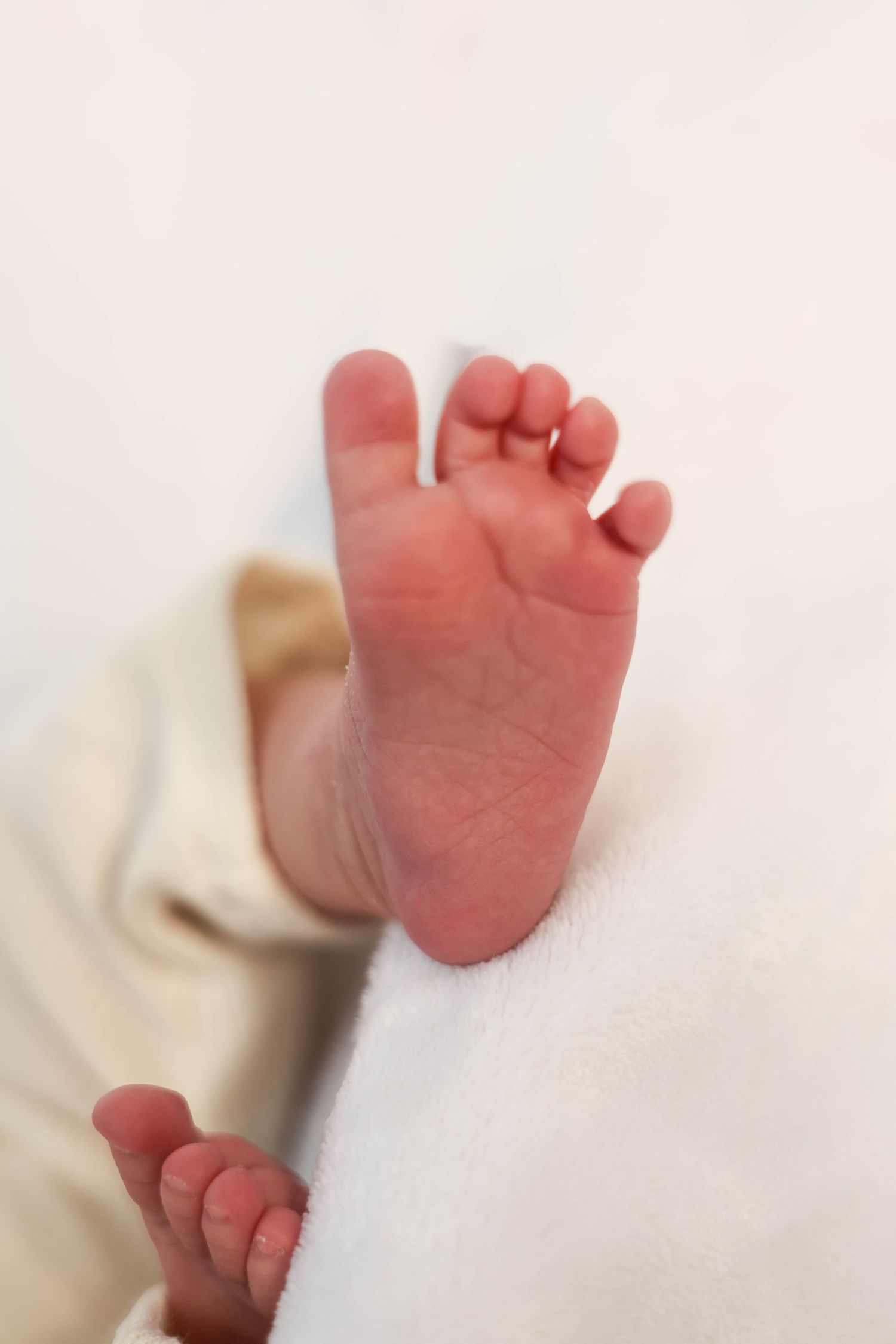 newborn